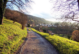 Auf dem Blütenweg - kurz vor Sipplingen.