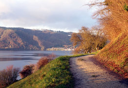 Der Blütenweg mit Blick auf Bodman.